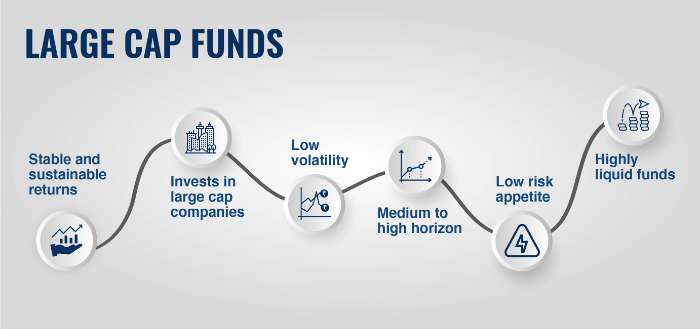 Best Large Cap Mutual Funds:9 Large Cap Funds to Invest in 2024