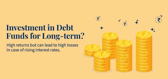 Is it good to invest in Debt Funds for the long-term?