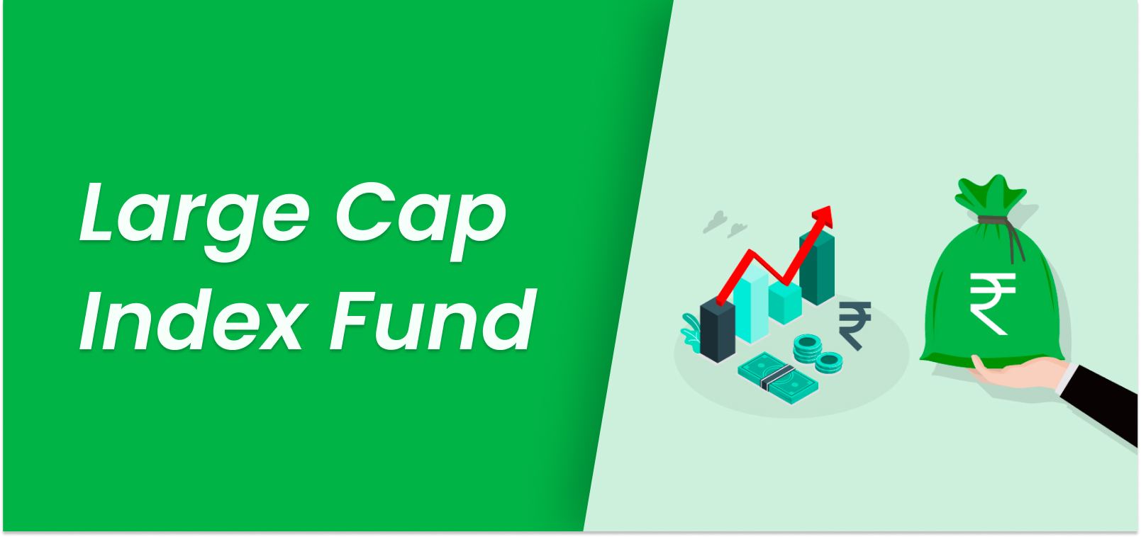 Large Cap Index Fund